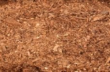 Eucalyptus Mulch Boolaroo