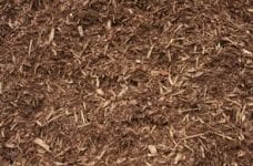 Pine Mulch