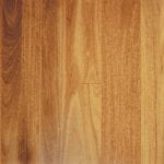 Tallowwood