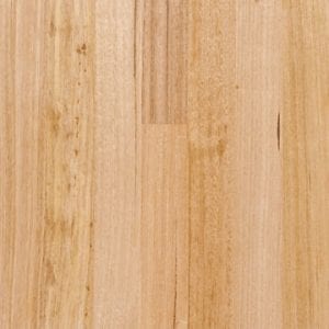 Tasmanian Oak